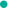 厦大嘉庚学院艺术类面向福建招生202人